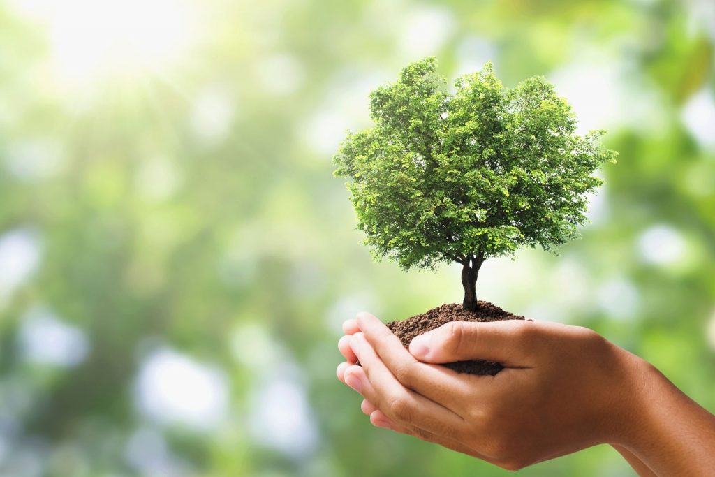 sustentabilidad