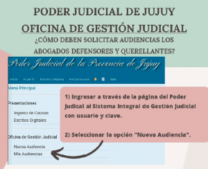 INSTRUCTIVO PARA LA SOLICITUD DE AUDIENCIAS EN EL SISTEMA INTEGRAL DE GESTIÓN JUDICIAL.